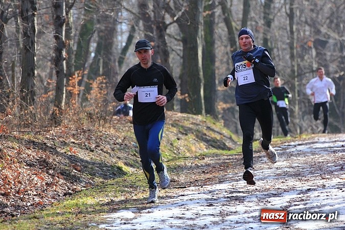 Zdjęcie w galerii na portalu naszraciborz.pl: II Bieg Twardziela w raciborskim Arboretum wiadomości z regionu