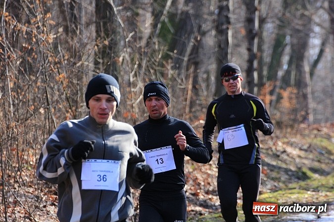 Zdjęcie w galerii na portalu naszraciborz.pl: II Bieg Twardziela w raciborskim Arboretum wiadomości z regionu