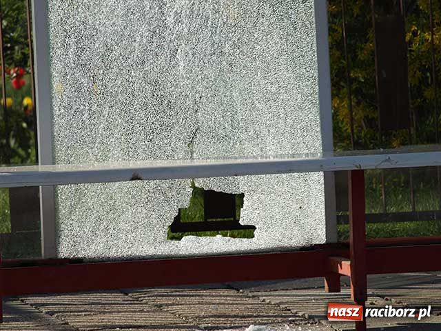 Zdjęcie w galerii na portalu naszraciborz.pl: Tysiąc złotych nagrody za wandali wiadomości z regionu