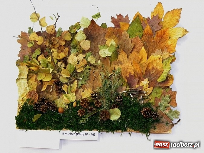 Zdjęcie w galerii na portalu naszraciborz.pl: Skarby natury - rozstrzygnięto konkurs wiadomości z regionu