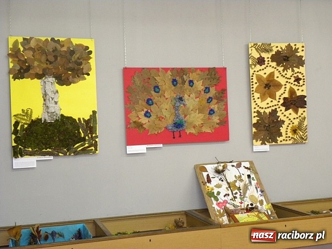 Zdjęcie w galerii na portalu naszraciborz.pl: Skarby natury - rozstrzygnięto konkurs wiadomości z regionu