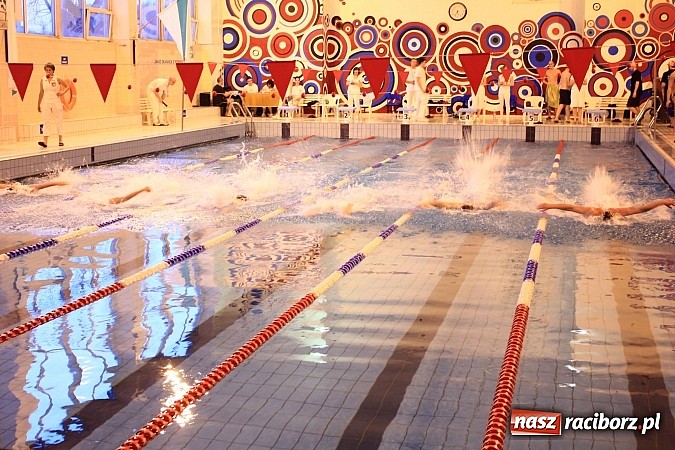 Zdjęcie w galerii na portalu naszraciborz.pl: PWSZ: Pływackie zmagania studentów wiadomości z regionu