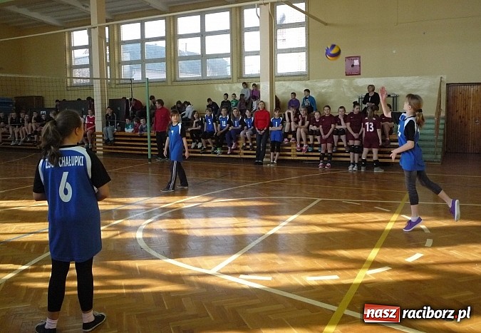 Zdjęcie w galerii na portalu naszraciborz.pl: Bieńkowice najlepsze w minisiatkówce wiadomości z regionu