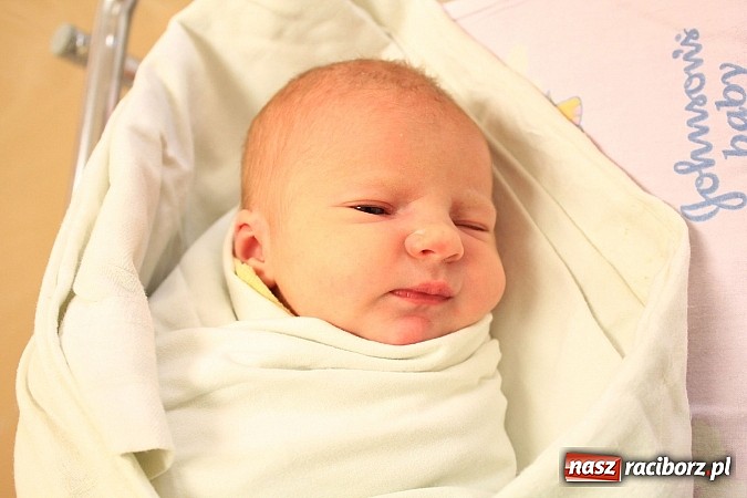 Zdjęcie w galerii na portalu naszraciborz.pl: Kasia i Darek cieszą się z narodzin córeczki wiadomości z regionu