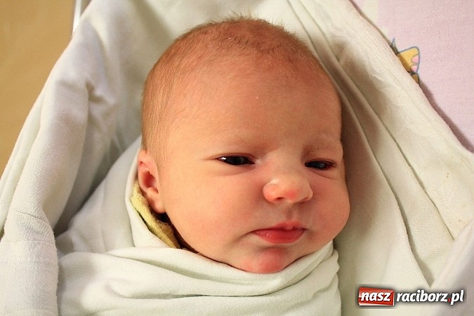 Zdjęcie w galerii na portalu naszraciborz.pl: Kasia i Darek cieszą się z narodzin córeczki wiadomości z regionu