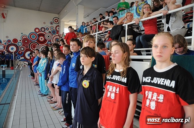 Zdjęcie w galerii na portalu naszraciborz.pl: Racibórz stał się dziś stolicą polskiego pływania wiadomości z regionu