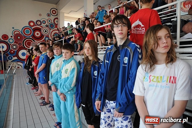 Zdjęcie w galerii na portalu naszraciborz.pl: Racibórz stał się dziś stolicą polskiego pływania wiadomości z regionu