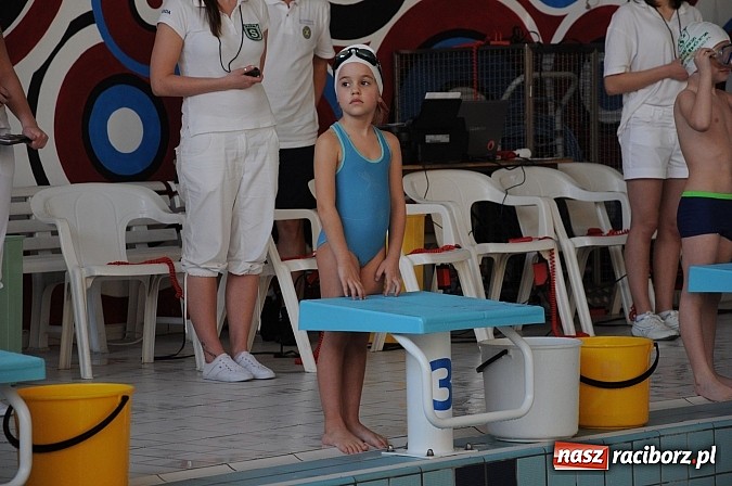 Zdjęcie w galerii na portalu naszraciborz.pl: Racibórz stał się dziś stolicą polskiego pływania wiadomości z regionu