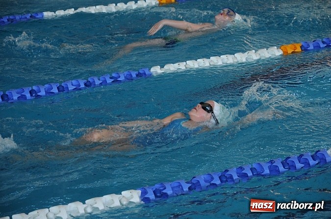 Zdjęcie w galerii na portalu naszraciborz.pl: Racibórz stał się dziś stolicą polskiego pływania wiadomości z regionu