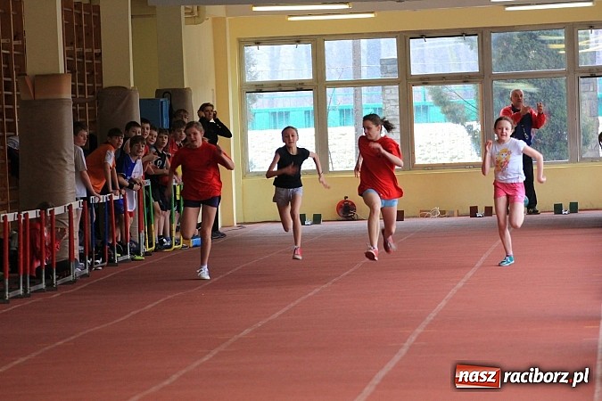 Zdjęcie w galerii na portalu naszraciborz.pl: Lekkoatletyczne zmagania uczniów podstawówek wiadomości z regionu