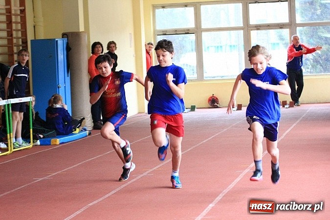 Zdjęcie w galerii na portalu naszraciborz.pl: Lekkoatletyczne zmagania uczniów podstawówek wiadomości z regionu