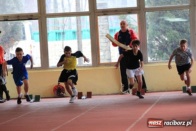 Zdjęcie w galerii na portalu naszraciborz.pl: Lekkoatletyczne zmagania uczniów podstawówek wiadomości z regionu