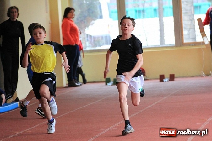 Zdjęcie w galerii na portalu naszraciborz.pl: Lekkoatletyczne zmagania uczniów podstawówek wiadomości z regionu