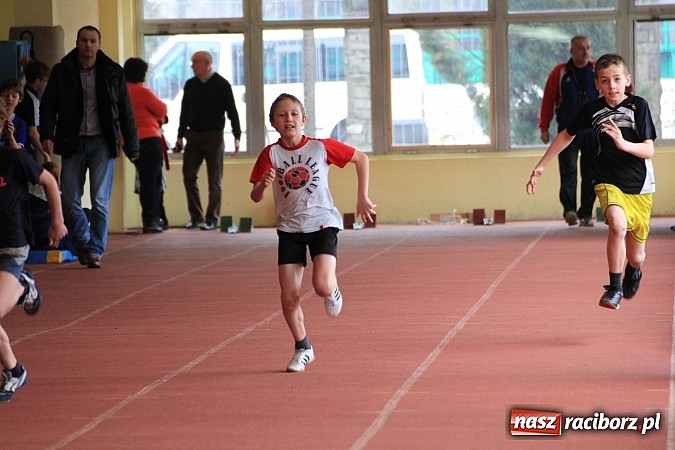 Zdjęcie w galerii na portalu naszraciborz.pl: Lekkoatletyczne zmagania uczniów podstawówek wiadomości z regionu