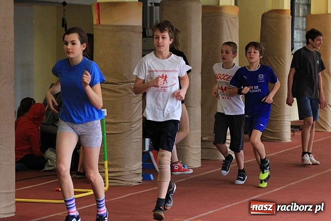 Zdjęcie w galerii na portalu naszraciborz.pl: Lekkoatletyczne zmagania uczniów podstawówek wiadomości z regionu