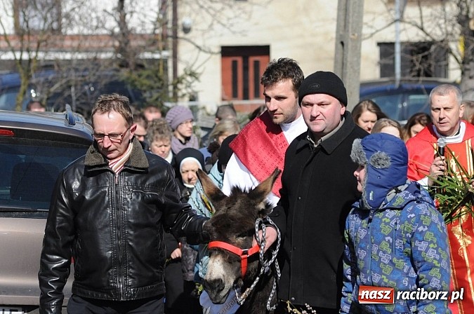 Zdjęcie w galerii na portalu naszraciborz.pl: Procesja Niedzieli Palmowej w Brzeziu nad Odrą wiadomości z regionu