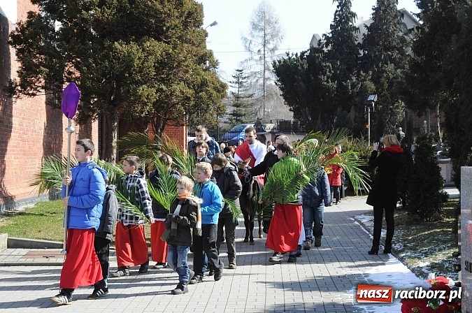 Zdjęcie w galerii na portalu naszraciborz.pl: Procesja Niedzieli Palmowej w Brzeziu nad Odrą wiadomości z regionu