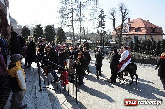 Zdjęcie w galerii na portalu naszraciborz.pl: Procesja Niedzieli Palmowej w Brzeziu nad Odrą wiadomości z regionu