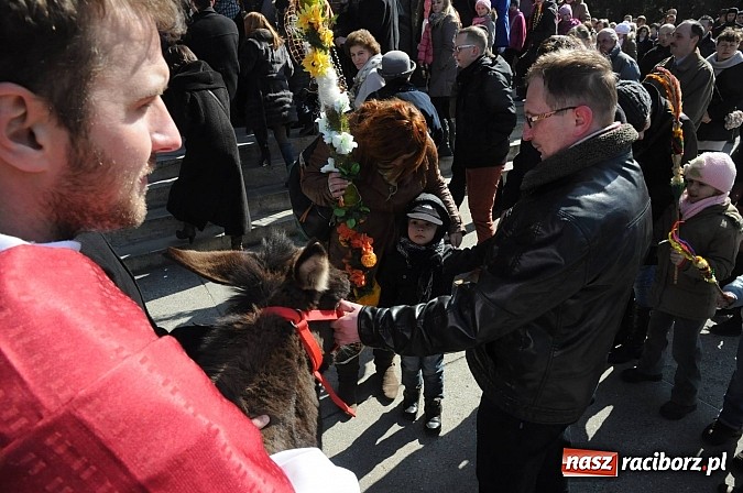 Zdjęcie w galerii na portalu naszraciborz.pl: Procesja Niedzieli Palmowej w Brzeziu nad Odrą wiadomości z regionu
