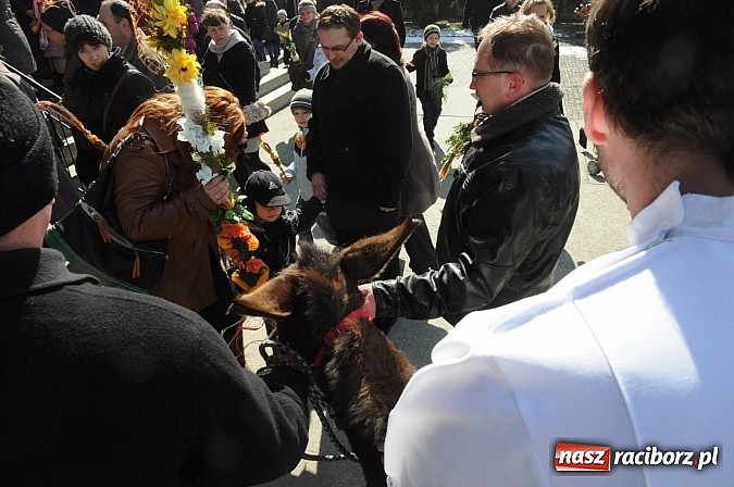 Zdjęcie w galerii na portalu naszraciborz.pl: Procesja Niedzieli Palmowej w Brzeziu nad Odrą wiadomości z regionu