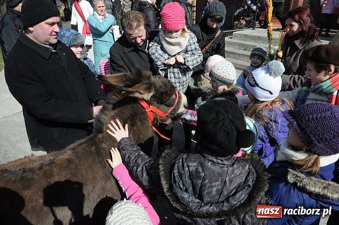 Zdjęcie w galerii na portalu naszraciborz.pl: Procesja Niedzieli Palmowej w Brzeziu nad Odrą wiadomości z regionu