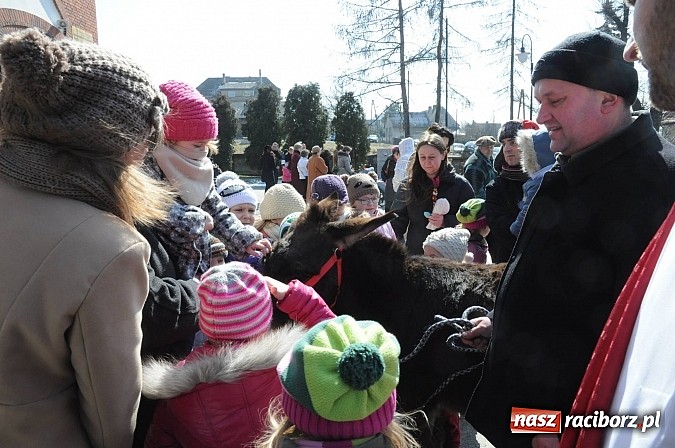 Zdjęcie w galerii na portalu naszraciborz.pl: Procesja Niedzieli Palmowej w Brzeziu nad Odrą wiadomości z regionu