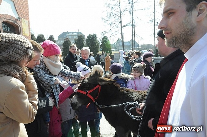 Zdjęcie w galerii na portalu naszraciborz.pl: Procesja Niedzieli Palmowej w Brzeziu nad Odrą wiadomości z regionu