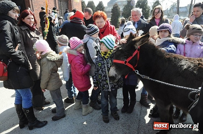 Zdjęcie w galerii na portalu naszraciborz.pl: Procesja Niedzieli Palmowej w Brzeziu nad Odrą wiadomości z regionu