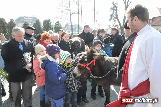 Zdjęcie w galerii na portalu naszraciborz.pl: Procesja Niedzieli Palmowej w Brzeziu nad Odrą wiadomości z regionu