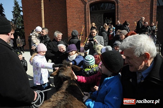 Zdjęcie w galerii na portalu naszraciborz.pl: Procesja Niedzieli Palmowej w Brzeziu nad Odrą wiadomości z regionu