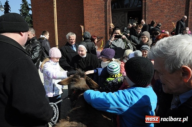 Zdjęcie w galerii na portalu naszraciborz.pl: Procesja Niedzieli Palmowej w Brzeziu nad Odrą wiadomości z regionu