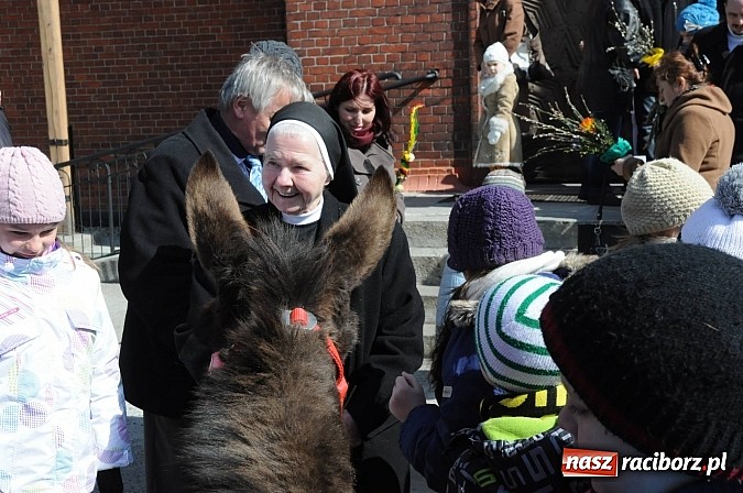 Zdjęcie w galerii na portalu naszraciborz.pl: Procesja Niedzieli Palmowej w Brzeziu nad Odrą wiadomości z regionu