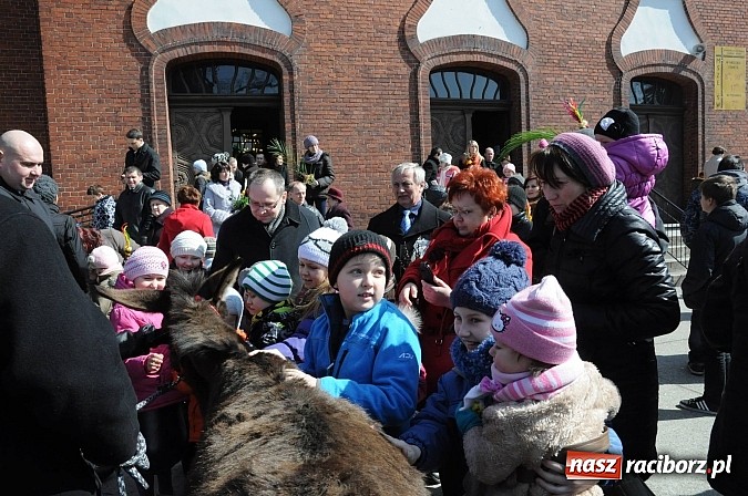 Zdjęcie w galerii na portalu naszraciborz.pl: Procesja Niedzieli Palmowej w Brzeziu nad Odrą wiadomości z regionu