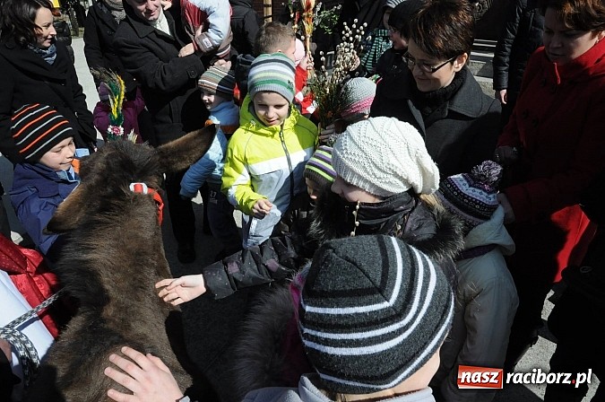 Zdjęcie w galerii na portalu naszraciborz.pl: Procesja Niedzieli Palmowej w Brzeziu nad Odrą wiadomości z regionu