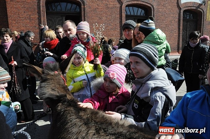 Zdjęcie w galerii na portalu naszraciborz.pl: Procesja Niedzieli Palmowej w Brzeziu nad Odrą wiadomości z regionu