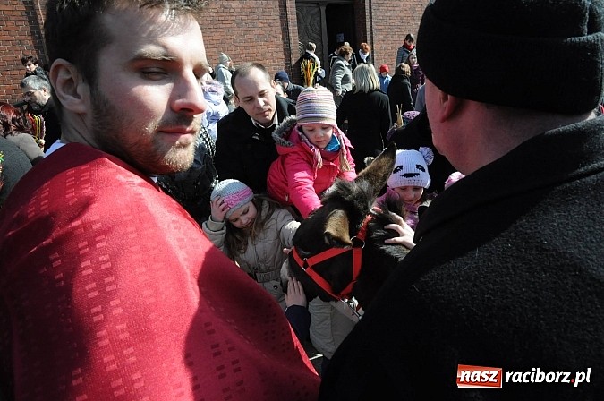 Zdjęcie w galerii na portalu naszraciborz.pl: Procesja Niedzieli Palmowej w Brzeziu nad Odrą wiadomości z regionu