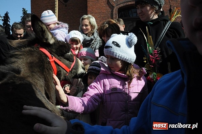 Zdjęcie w galerii na portalu naszraciborz.pl: Procesja Niedzieli Palmowej w Brzeziu nad Odrą wiadomości z regionu