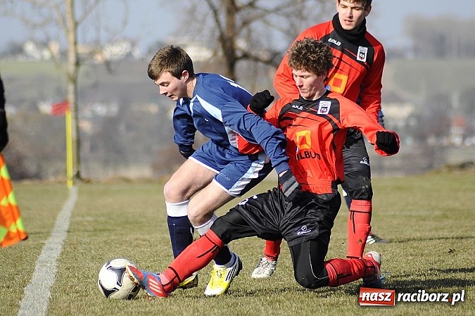 Zdjęcie w galerii na portalu naszraciborz.pl: Ocice bliskie sprawienia niespodzianki wiadomości z regionu