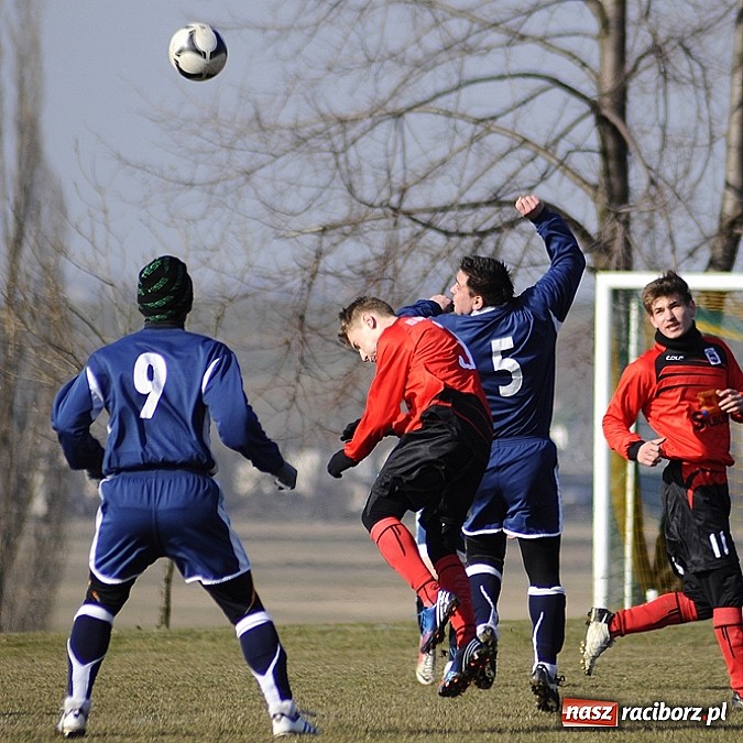 Zdjęcie w galerii na portalu naszraciborz.pl: Ocice bliskie sprawienia niespodzianki wiadomości z regionu