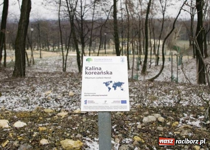 Zdjęcie w galerii na portalu naszraciborz.pl: Opłaca się być blisko natury wiadomości z regionu