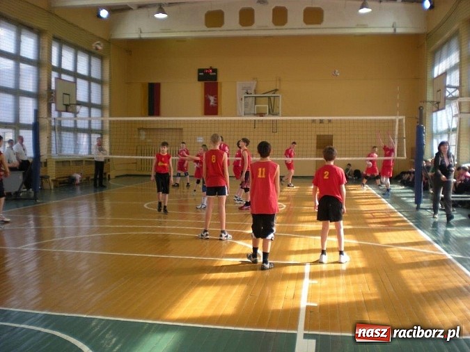 Zdjęcie w galerii na portalu naszraciborz.pl: Pracowity tydzień raciborskich pływaków wiadomości z regionu