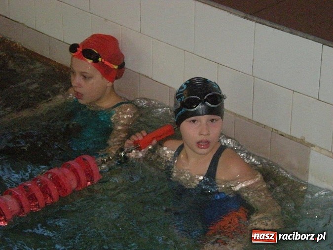 Zdjęcie w galerii na portalu naszraciborz.pl: Pracowity tydzień raciborskich pływaków wiadomości z regionu