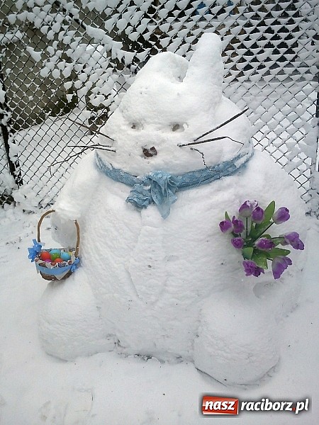 Zdjęcie w galerii na portalu naszraciborz.pl: Mamy wielkanocne śnieżne zające wiadomości z regionu