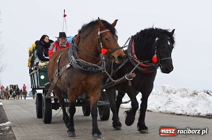 Zdjęcie w galerii na portalu naszraciborz.pl: Procesja konna w Pietrowicach Wielkich z metropolitą górnośląskim wiadomości z regionu