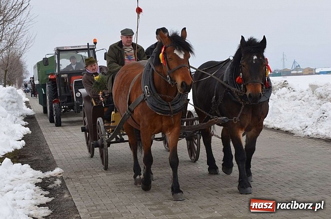 Zdjęcie w galerii na portalu naszraciborz.pl: Procesja konna w Pietrowicach Wielkich z metropolitą górnośląskim wiadomości z regionu