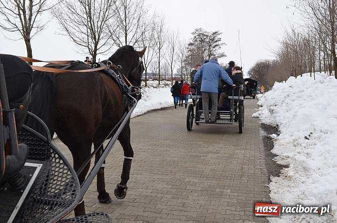Zdjęcie w galerii na portalu naszraciborz.pl: Procesja konna w Pietrowicach Wielkich z metropolitą górnośląskim wiadomości z regionu