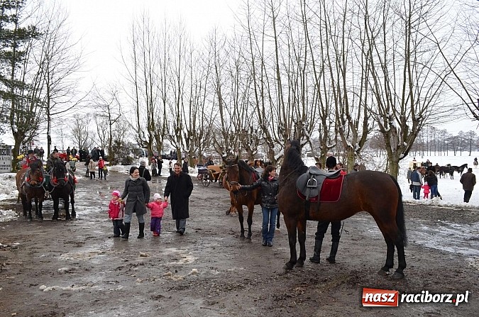 Zdjęcie w galerii na portalu naszraciborz.pl: Procesja konna w Pietrowicach Wielkich z metropolitą górnośląskim wiadomości z regionu
