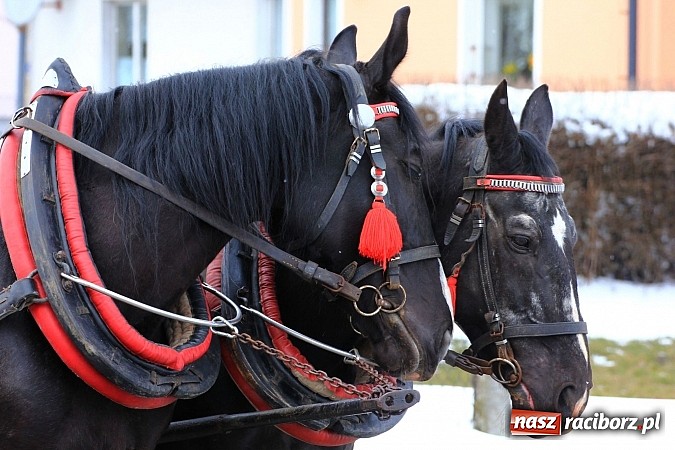 Zdjęcie w galerii na portalu naszraciborz.pl: Wielkanocna procesja konna w Bieńkowicach wiadomości z regionu