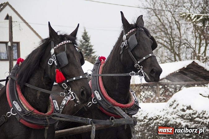 Zdjęcie w galerii na portalu naszraciborz.pl: W Raciborzu-Sudole zima jeźdźcom niestraszna. Przyjechał nawet szef Solidarności wiadomości z regionu