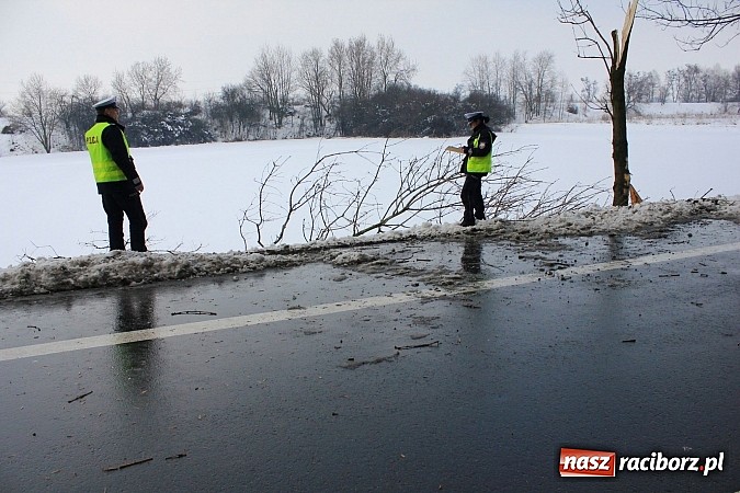 Zdjęcie w galerii na portalu naszraciborz.pl: Poważny wypadek na Brzeskiej w Raciborzu. Kierowca hondy dachował wiadomości z regionu